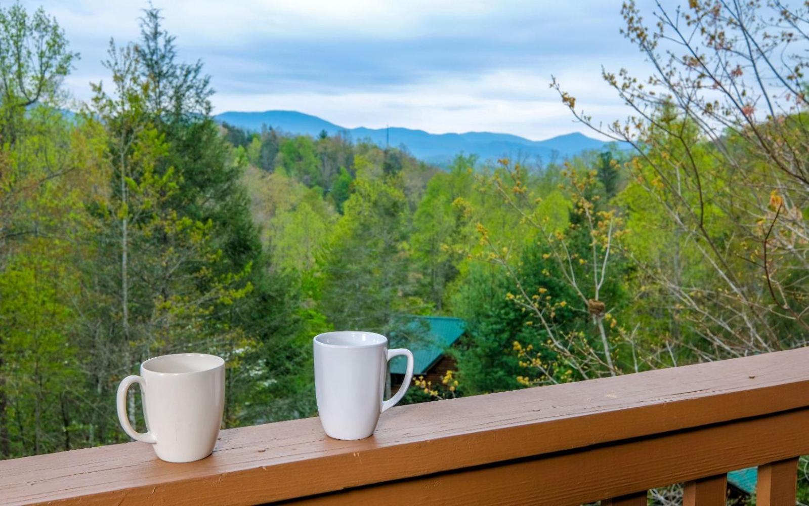 Villa Siesta Ridge Gatlinburg Esterno foto